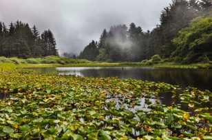 Redwood Lagoon-9842.jpg Redwood Lagoon-9842.jpg